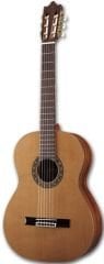 Farida Klasik Gitar C-38