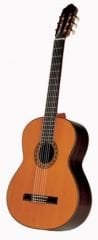 Esteve PS 70 Klasik Bass Gitar ( 6 Telli )