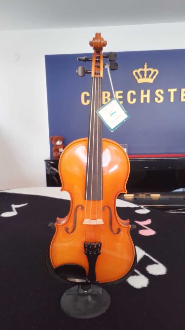 Höfner 11 Keman elyapımı Alman 4/4