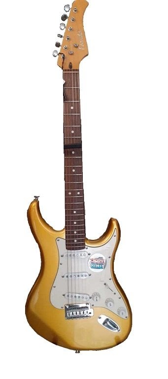 FBS-10 GD