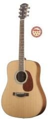 D 52 (Dreadnought) Farida Akustik Gitar