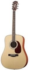 D 56 (Dreadnought) Farida Akustik Gitar