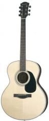 R 16 Farida Akustik Gitar