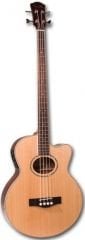 AB-10 Akustik Bas
