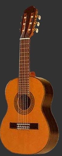 Esteve OCTAVE Klasik gitar