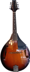 Sanchez  Mandolin MDL11