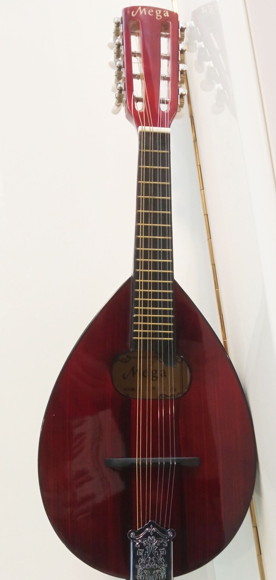 Mega Mandolin
