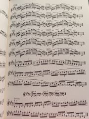 Oktay Dalaysel Keman İçin Gam Çalışmaları ve Yay Çeşitleri