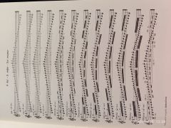 Oktay Dalaysel Keman İçin Gam Çalışmaları ve Yay Çeşitleri