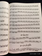 Oktay Dalaysel Keman İçin Gam Çalışmaları ve Yay Çeşitleri