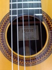 Esteve ADALID Flamenko Gitar (Negra)