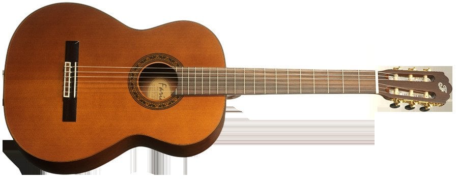 Farida Klasik Gitar CC-10