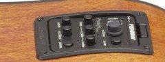 D 15 E NS Farida Elektro Akustik Gitar