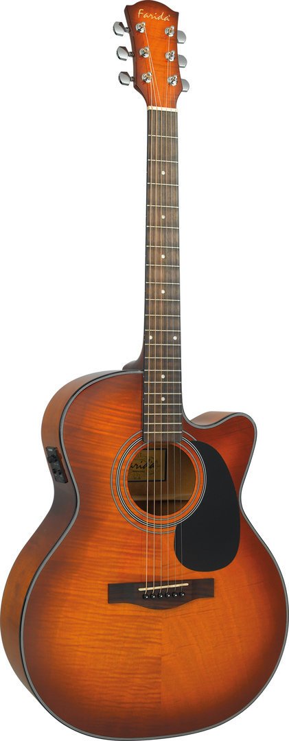 R 25CE HOS Farida Elektro Akustik Gitar