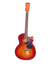 R 25CE DA Farida Elektro Akustik Gitar