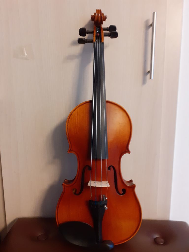 Primo TLV002E 15'' Viyola