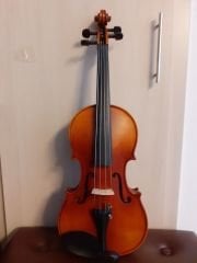 Primo TLV002E 15'' Viyola