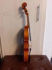 Primo TLV002E 15'' Viyola