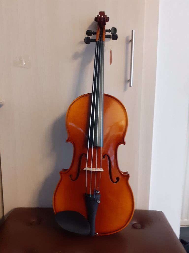 Hesaplı 16,5'' Öğrenci Viyolası (42 cm)